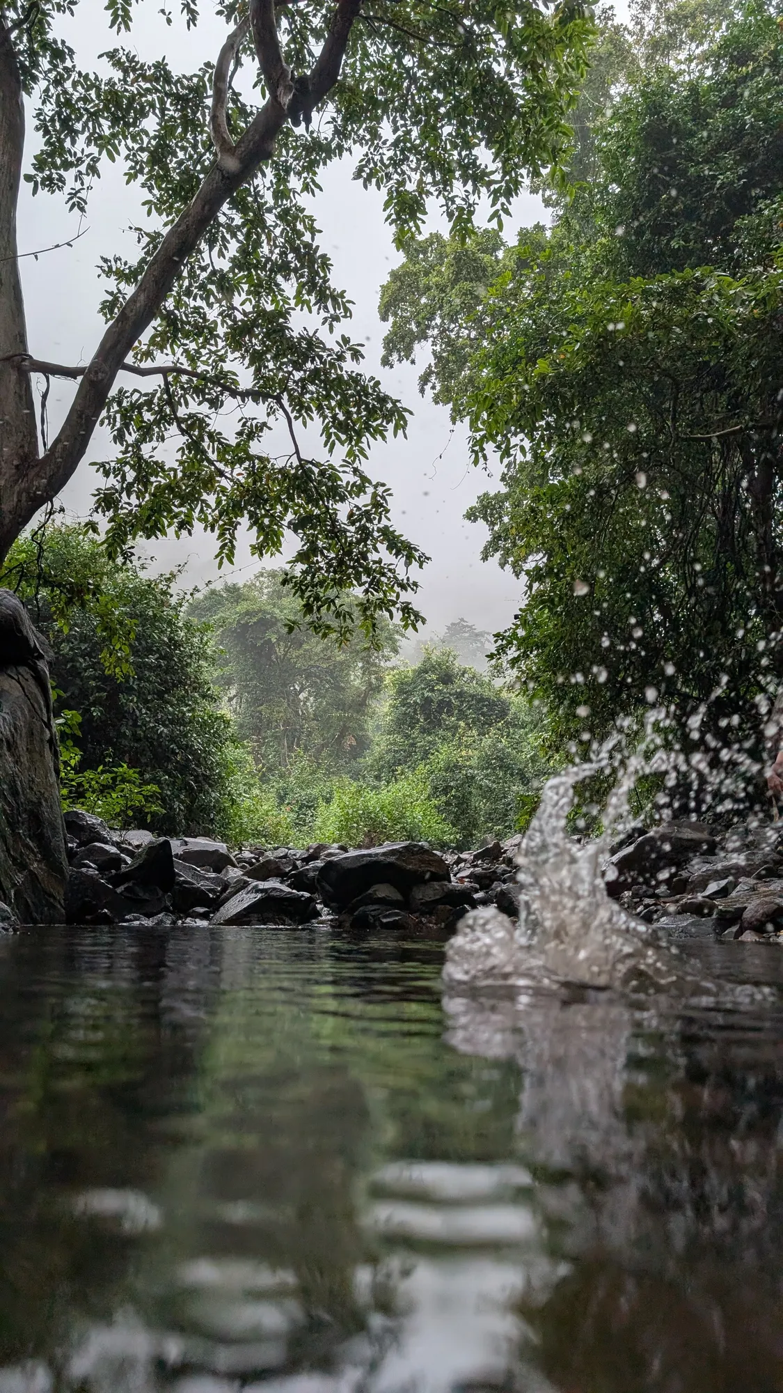 Monsoon — Landscape photography